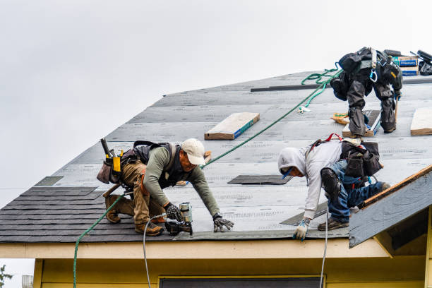Professional Gutter Installation technician working in Severn, NC